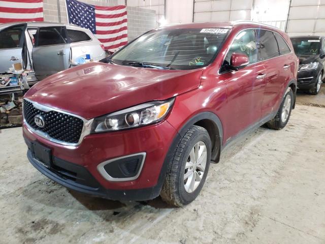 5XYPGDA36HG230450 Kia Sorento Lx 2017. Фото: 1