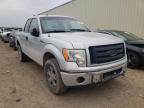 2009 FORD  F-150