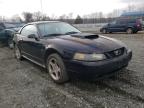 2002 FORD  MUSTANG