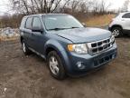 2010 FORD  ESCAPE