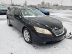 2009 LEXUS  ES350