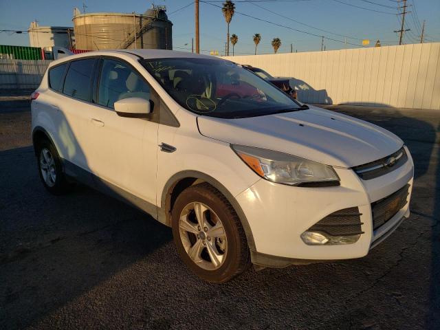 2013 FORD ESCAPE SE - 1FMCU0G98DUB55623