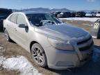 2013 CHEVROLET  MALIBU