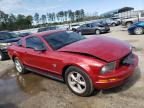 2009 FORD  MUSTANG