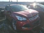 2013 FORD  ESCAPE