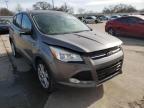 2013 FORD  ESCAPE