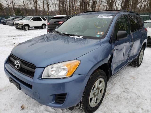 2011 TOYOTA RAV4 - 2T3BF4DV3BW142801
