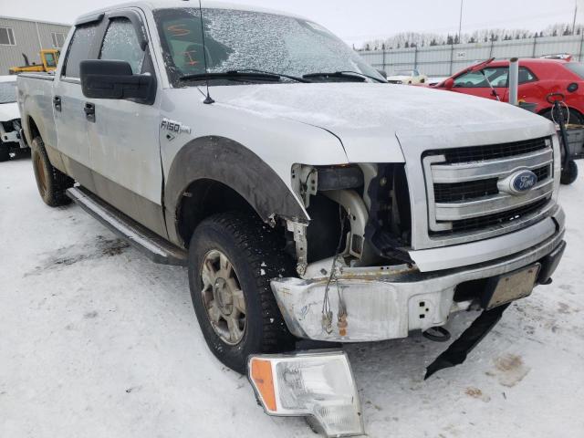 2010 FORD F150 SUPER - 1FTFW1EV2AFB63220