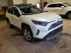 2021 TOYOTA  RAV4