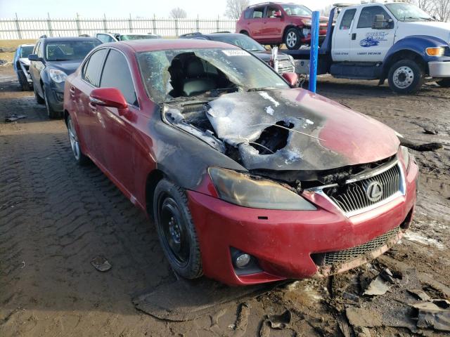 2011 LEXUS IS 350 - JTHBE5C23B5025967
