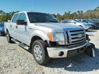 2009 FORD  F-150