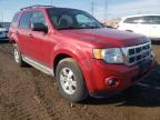 2010 FORD  ESCAPE