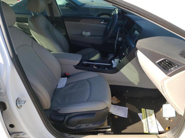 2017 HYUNDAI SONATA SPO 5NPE34AF6HH437751