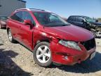 2010 LEXUS  RX350