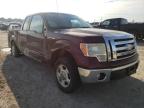 2009 FORD  F-150