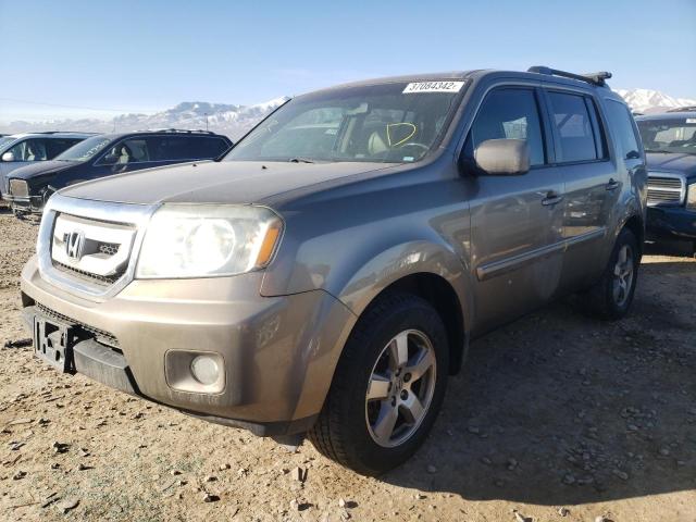 2010 HONDA PILOT EXL - 5FNYF4H52AB023677