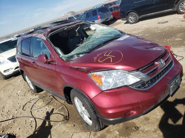2010 HONDA CR-V EXL - 5J6RE4H7XAL029100