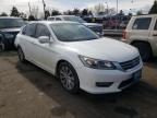 2013 HONDA  ACCORD