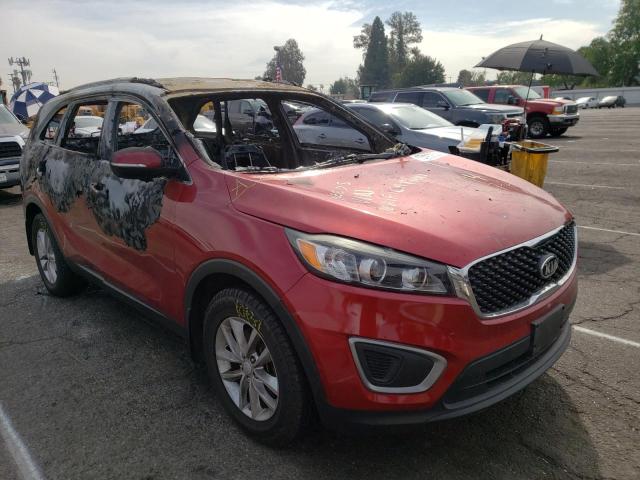 5XYPG4A34GG165970 Kia Sorento Lx 2016