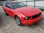 2005 FORD  MUSTANG