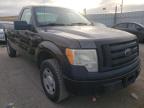 2009 FORD  F150