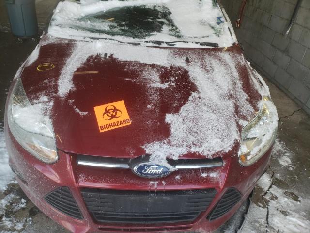 2013 FORD FOCUS SE - 1FADP3F26DL105420