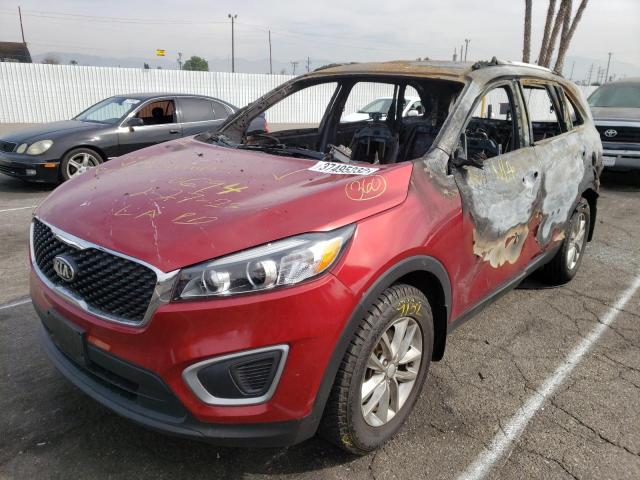 5XYPG4A34GG165970 Kia Sorento Lx 2016. Фото: 1