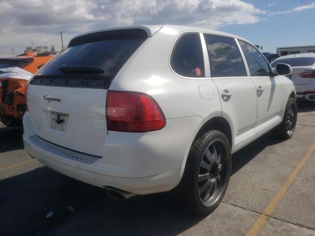 Фото: WP1AA29P66LA21809 - 4