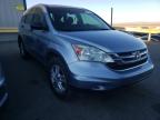 2010 HONDA  CRV