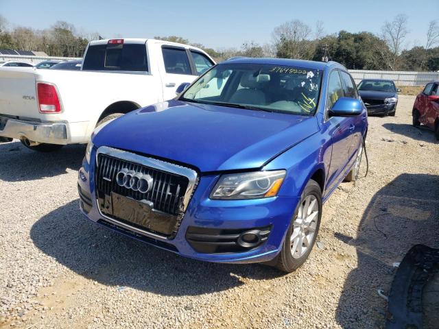 WA1LKBFP0AA021637 Audi Q5 Premium 2010. Фото: 1