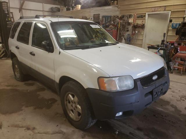 Salvage cars for sale from Copart Billings, MT: 2003 Ford Escape XLT