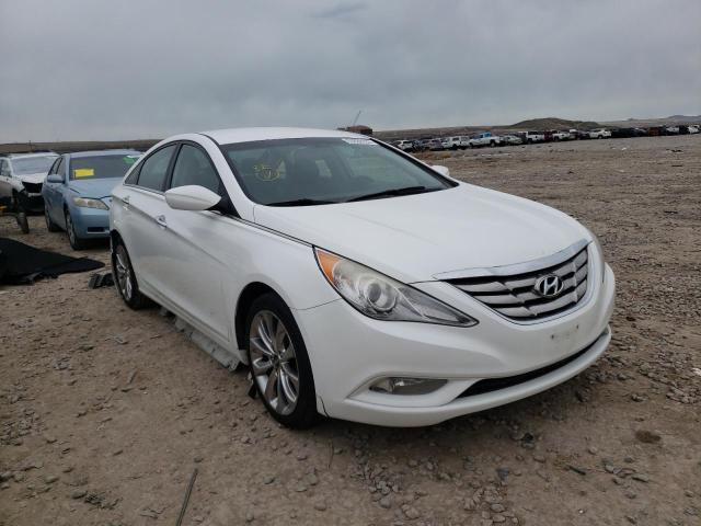 2013 HYUNDAI SONATA SE - 5NPEC4AC9DH783843