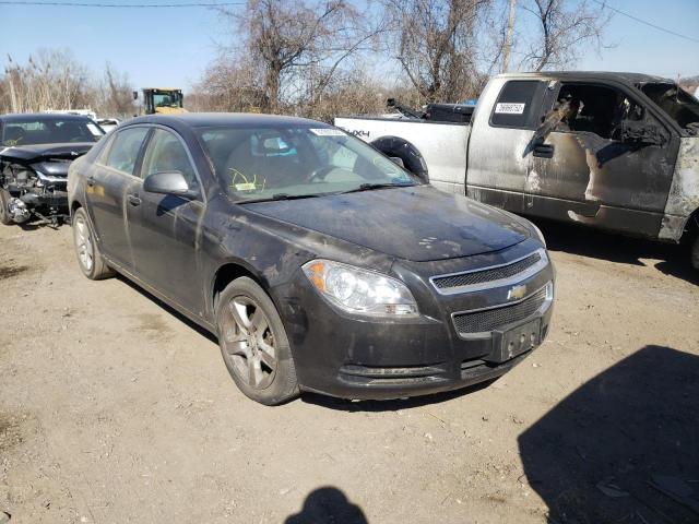 2011 CHEVROLET MALIBU LS - 1G1ZB5E17BF185964