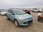 2013 FORD  ESCAPE