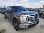 2010 FORD  F-150