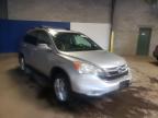 2010 HONDA  CRV