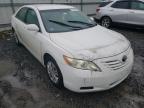 2007 TOYOTA  CAMRY