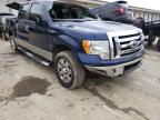 2009 FORD  F-150