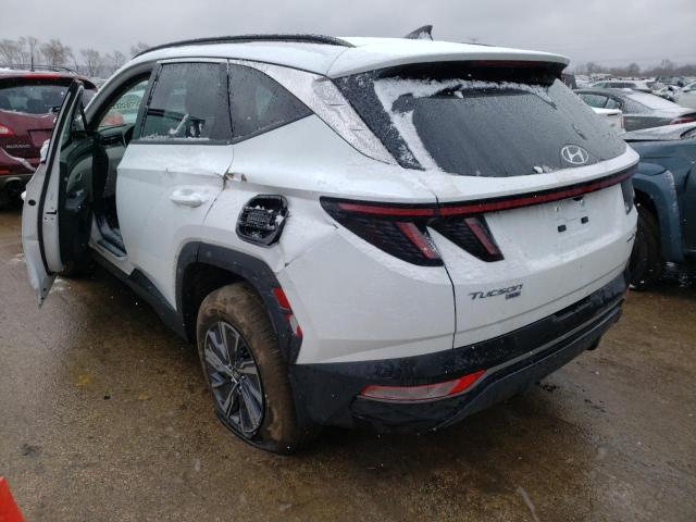 2022 HYUNDAI TUCSON BLU KM8JBCA15NU042621