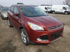 2014 FORD  ESCAPE