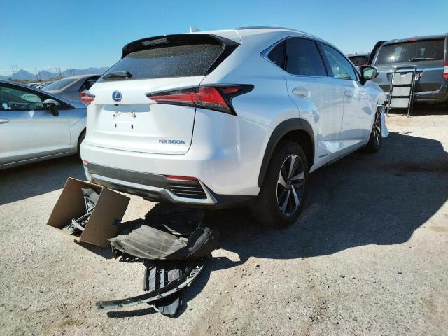 2021 LEXUS NX 300H BA JTJGJRDZ6M5012734