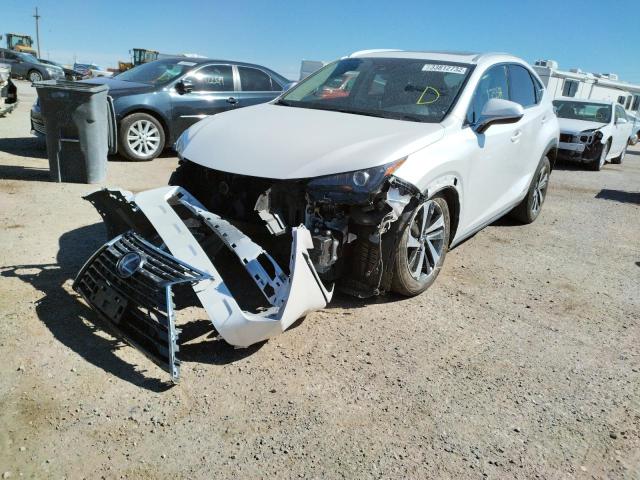 2021 LEXUS NX 300H BA JTJGJRDZ6M5012734