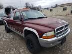 2001 DODGE  DAKOTA