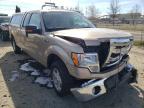 2014 FORD  F-150