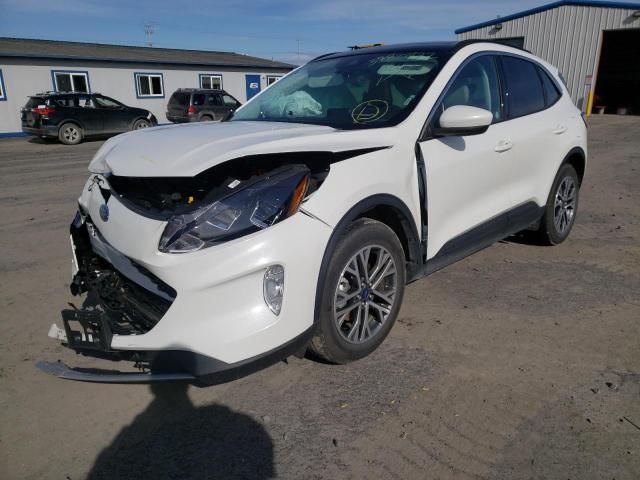1FMCU9H65MUA61286 Ford Escape Sel 2021. Фото: 1