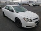 2010 CHEVROLET  MALIBU