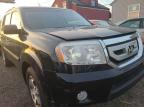 2010 HONDA  PILOT