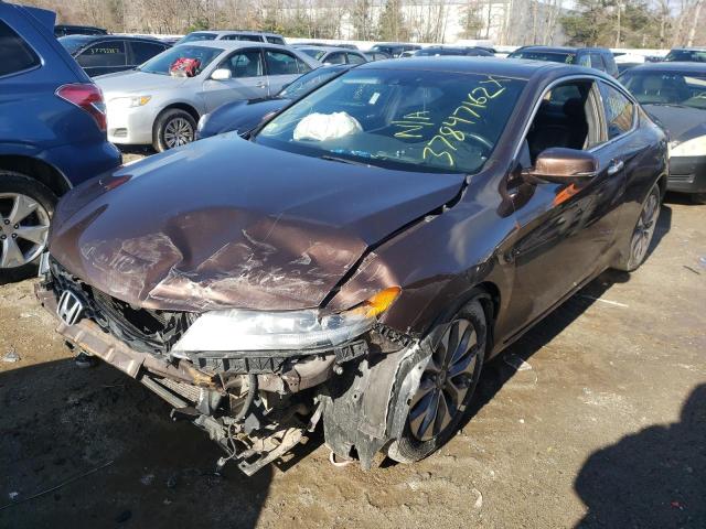 1HGCT1B87DA010538 Honda Accord Exl 2013. Фото: 1