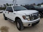 2010 FORD  F-150