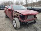 2021 CHEVROLET  COLORADO